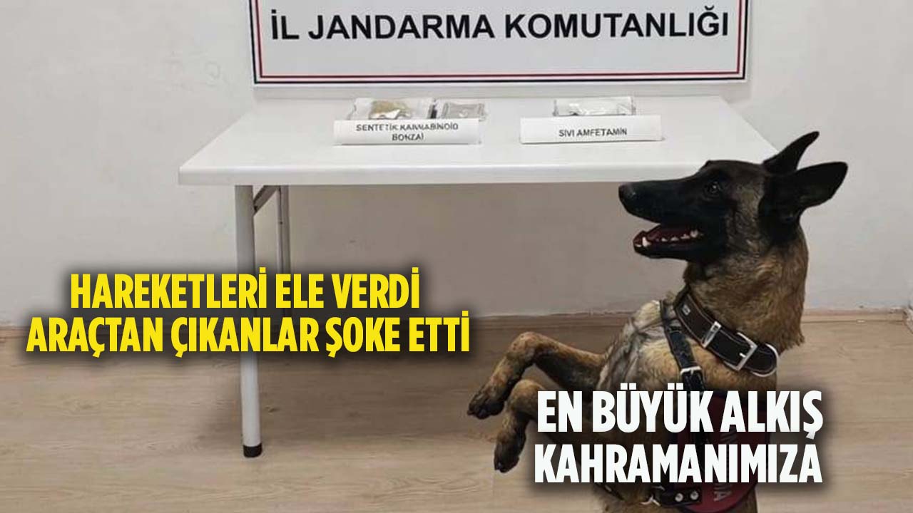 Osmaneli’de Jandarma’nın Dikkati Kaçırmadı: Şüpheli Araçtan Uyuşturucu Çıktı