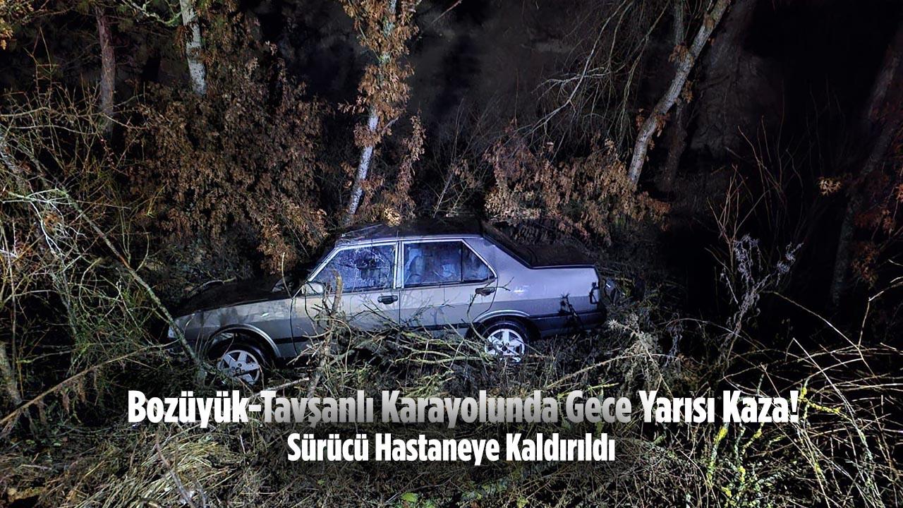 Bozüyük-Tavşanlı Yolunda Gece Yarısı Kaza: Otomobil Şarampole Yuvarlandı