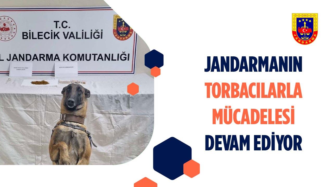 Gölpazarı’nda Jandarmadan Zehir Tacirlerine Darbe: Operasyonun Detayları Belli Oldu