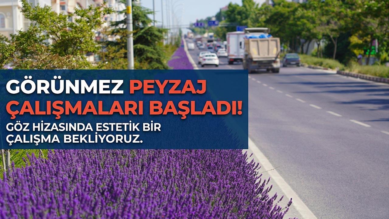 Bilecik’te “Görünmez” Peyzaj Dönemi: Vatandaş Renk İstiyor!