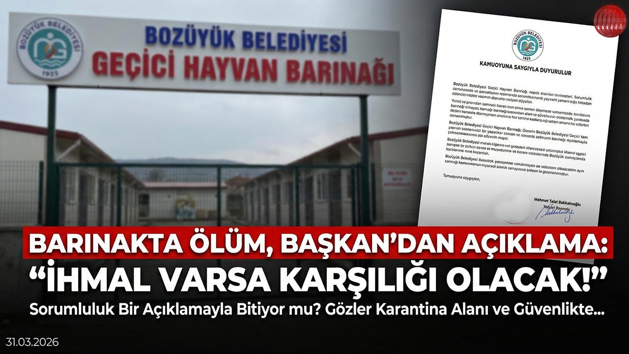 Bozüyük Barınağında “Can” Kaybı: Başkan Bakkalcıoğlu’ndan Flaş Açıklama! İhmal mi, Kaza mı?
