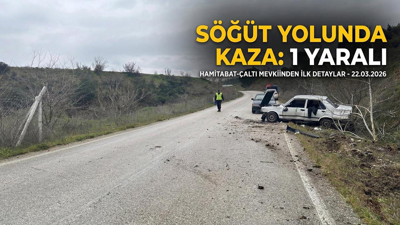 Söğüt’te Otomobil Ağaca Çarptı: 1 Yaralı