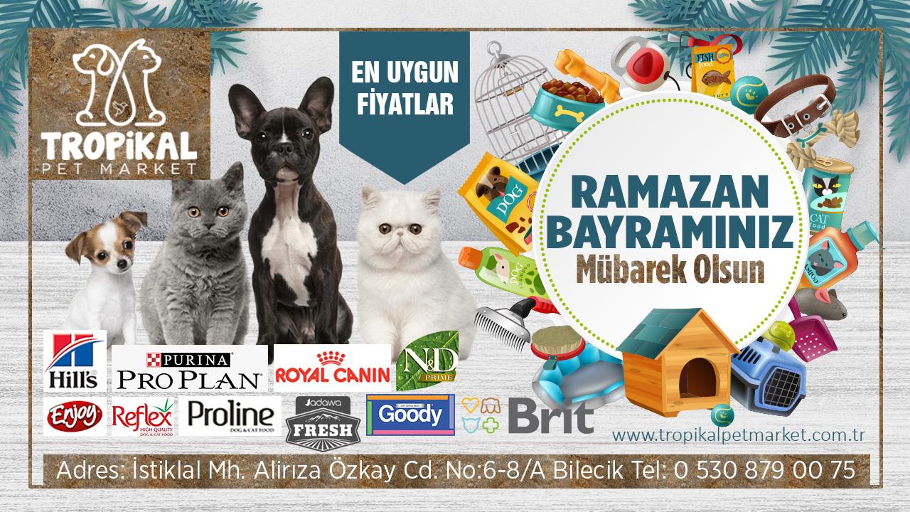 Tropikal Pet Market Ramazan Bayramı Mesajı