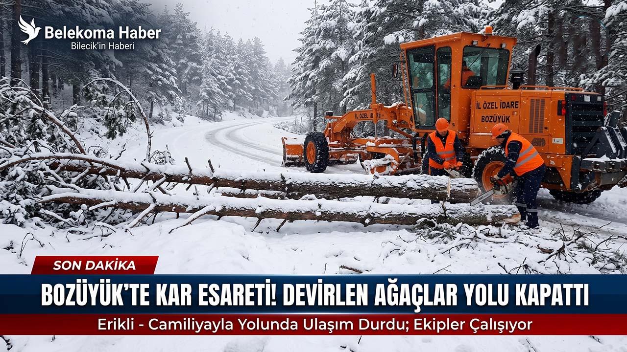 Bozüyük’te Kar Yağışı ve Devrilen Ağaçlar Yolu Kapattı