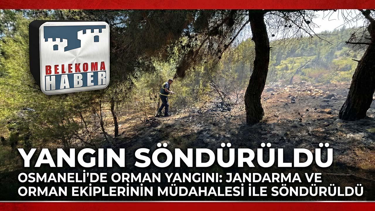 Bilecik Osmaneli’de Orman Yangını Hızlı Müdahaleyle Büyümeden Söndürüldü