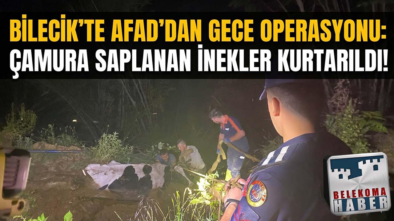 Bilecik’te Çamura Saplanan Büyükbaş Hayvanlar AFAD Tarafından Kurtarıldı