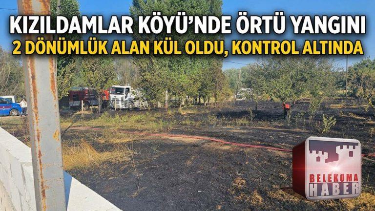 Kızıldamlar’da Örtü Yangını: 2 Dönümlük Alan Zarar Gördü
