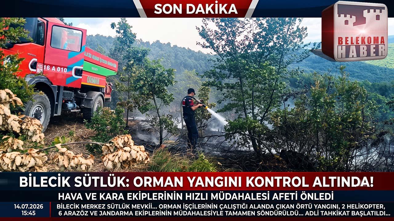 Bilecik’te 20 Dönümlük Alandaki Örtü Yangını Söndürüldü: Tahkikat Başlatıldı