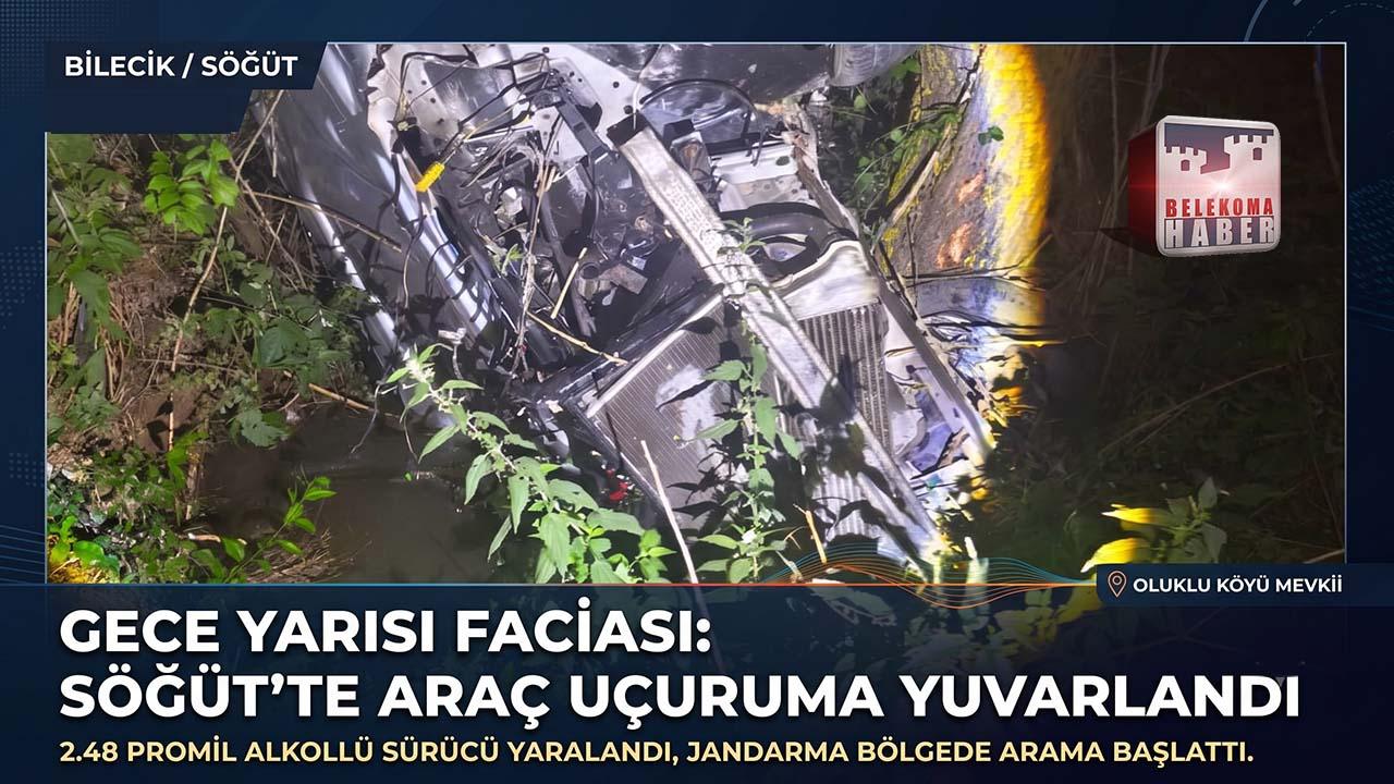 Bilecik Söğüt Trafik Kazası: Alkollü Sürücü Yoldan Çıktı