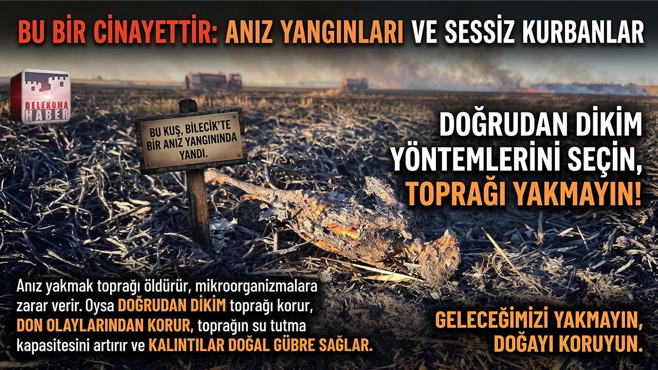 Anız Yangınının Sessiz Kurbanları: Göz Göre Göre Cinayet ve Caydırıcı Yaptırım Beklentisi