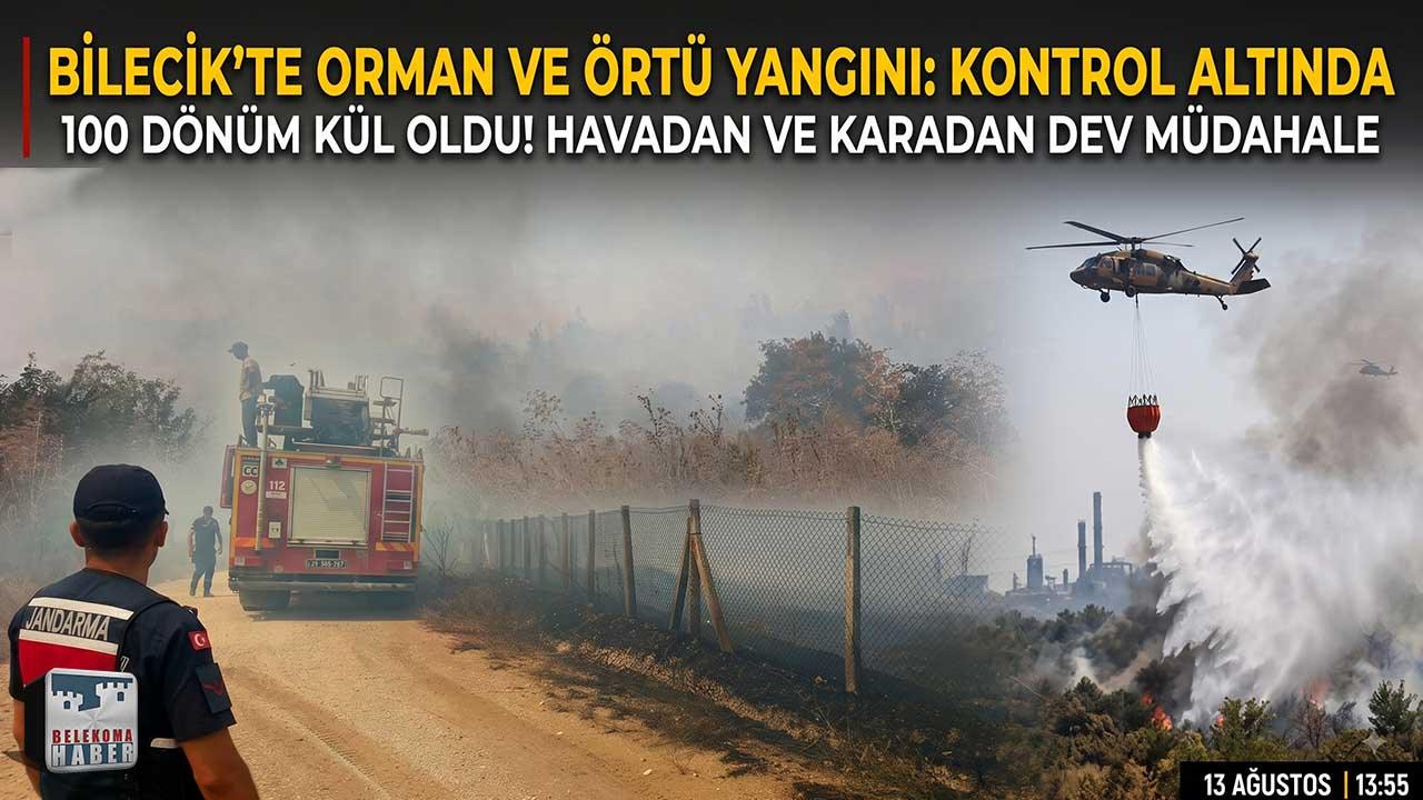 Bilecik Bayırköy’de Yangın: 100 Dönüm Alan Alevlere Teslim Oldu