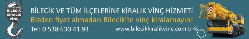 bilecik vinç