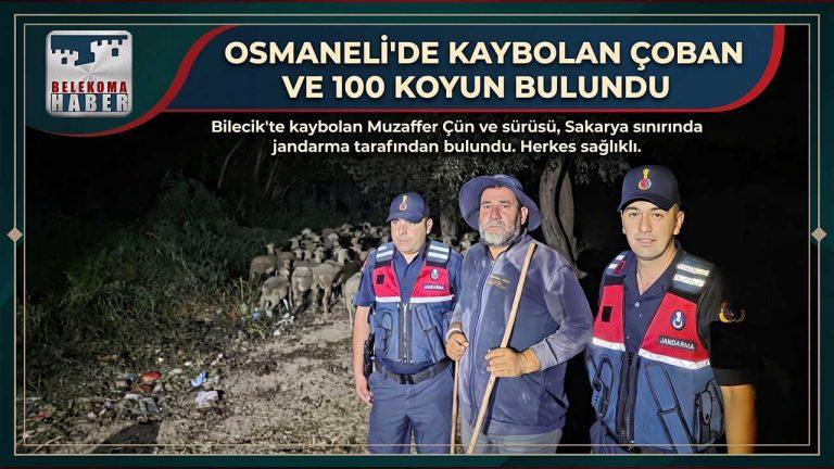 Bilecik’te Kaybolan Çoban, Sakarya Pamukova’da Bulundu