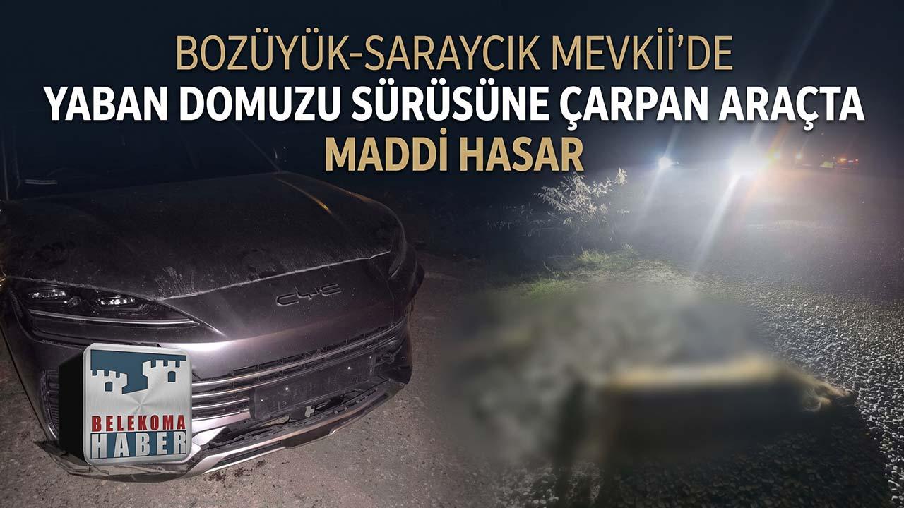 Bozüyük’te Otomobil Yaban Domuzu Sürüsüne Çarptı