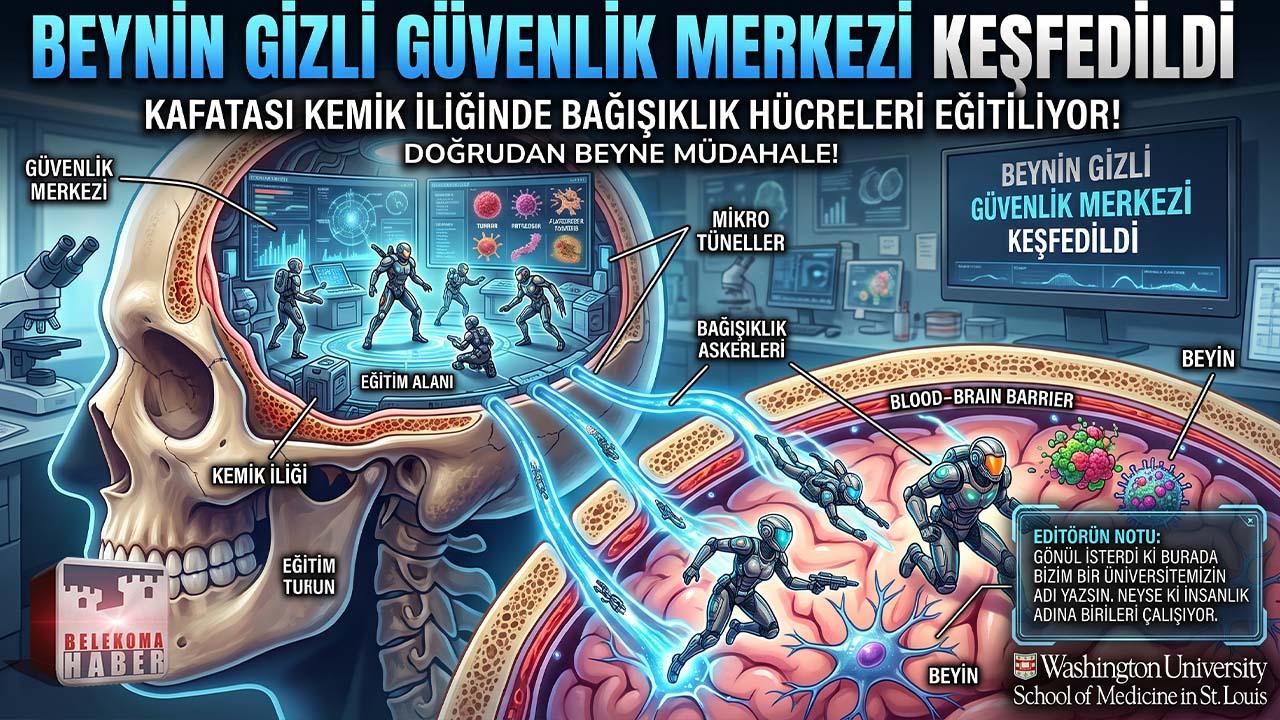 Zorlu Beyin Ameliyatlarına Alternatif Olacak Savunma Merkezi Keşfedildi