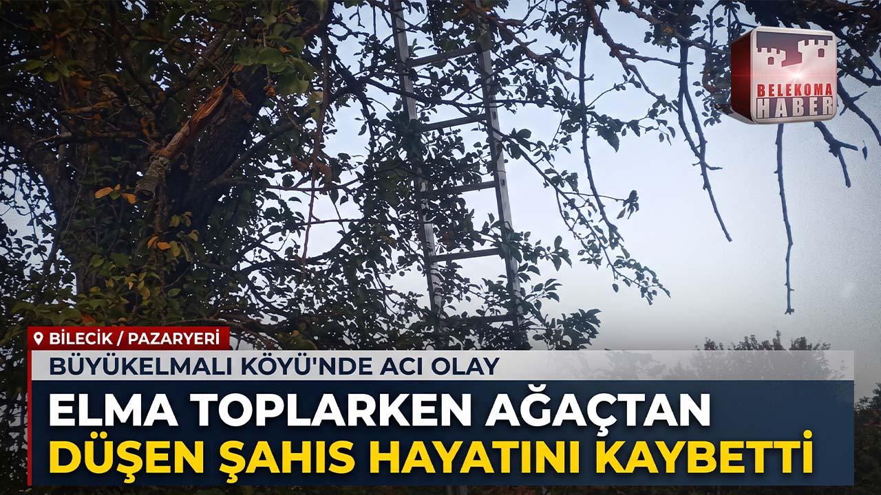 Bilecik Pazaryeri’nde Elma Toplarken Ağaçtan Düşen Şahıs Öldü