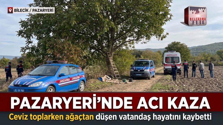 Bilecik’te Ceviz Hasadı Acıyla Bitti: Düşen Vatandaş Yaşamını Yitirdi