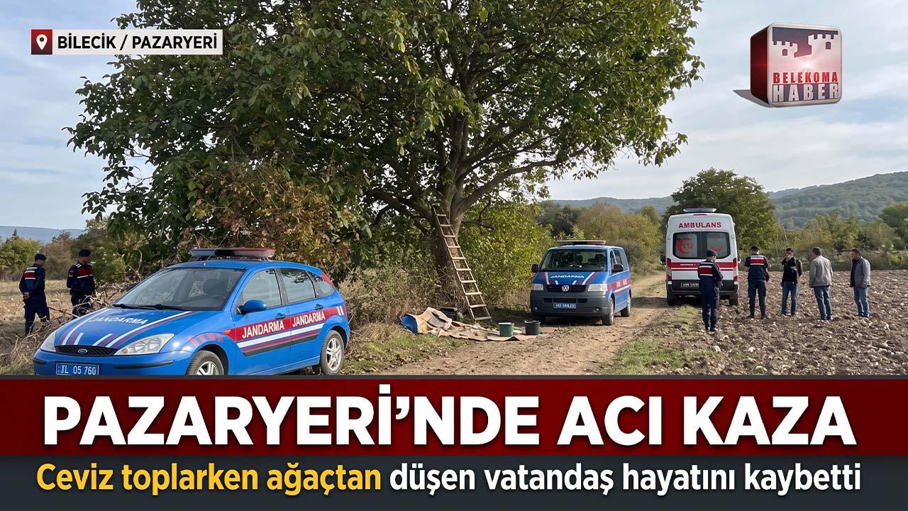 Bilecik’te Ceviz Hasadı Acıyla Bitti: Düşen Vatandaş Yaşamını Yitirdi